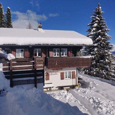 Chalet Grazia Riederalp Exterior foto
